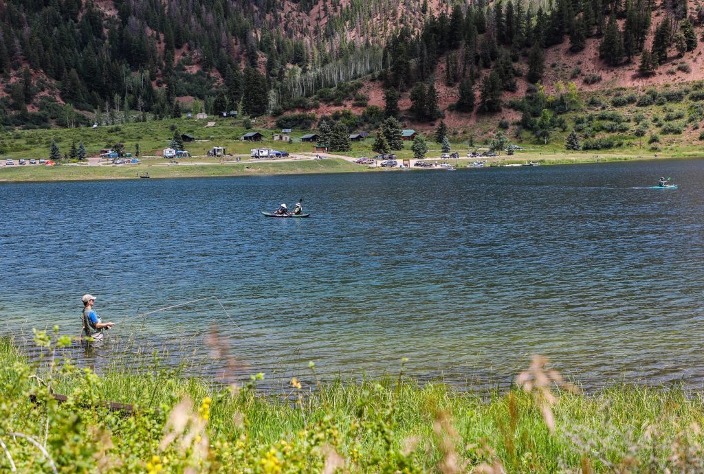 Why Colorado's High Country is seeing a bounty of certain insects - Vimarsana News